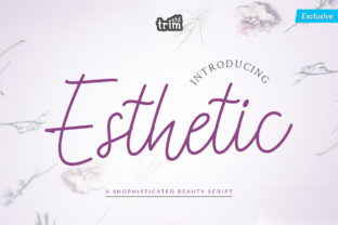 Esthetic: The Perfect Handwritten Script for Modern Web Design