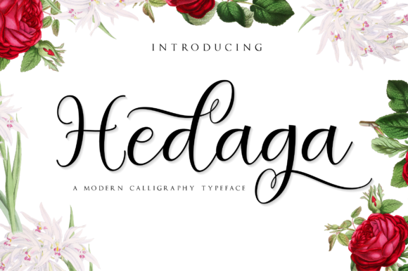 Hedaga: A Romantic Script Handwritten Font for Modern Design