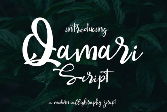 Qamari Script: The Elegant Typeface for Premium Web Design