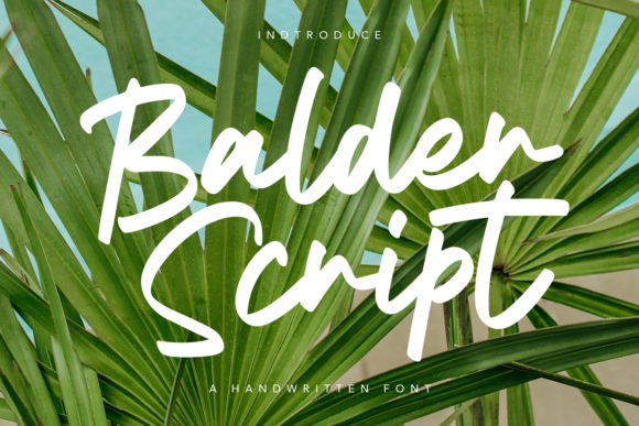 Why Balder Script Elevates Editorial Design and Branding